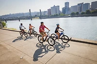 Schwinn Marshall Step-Thru E-Bike