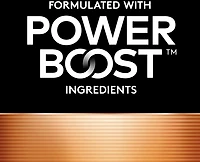 Duracell Coppertop AA Batteries -Pack