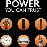 Duracell CopperTop D Alkaline Batteries 4-Pack