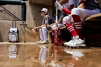 Marucci CATX 2023 SL USSSA Baseball Bat