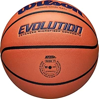 Wilson Evolution Game Basketball