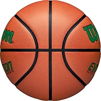 Wilson Evolution Game Basketball