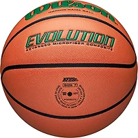 Wilson Evolution Game Basketball