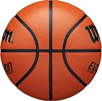 Wilson Evolution Indoor Basketball
