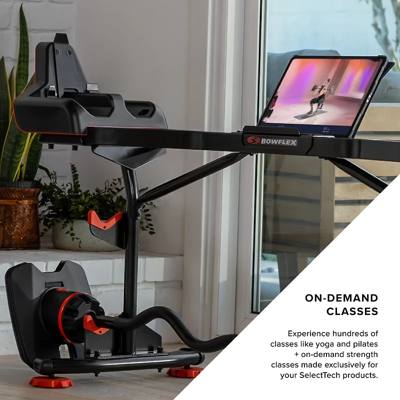 Bowflex SelectTech 2080 Barbell w/ Curl Bar