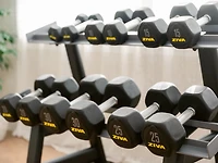 ZIVA Hexagon Weight Lifting Dumbbell – Pair