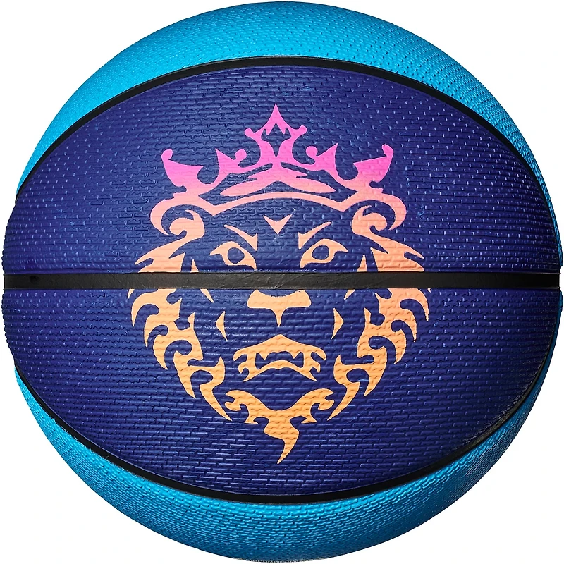 Nike Lebron 2.0 Playground Outdoor Basketball