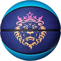 Nike Lebron 2.0 Playground Outdoor Basketball