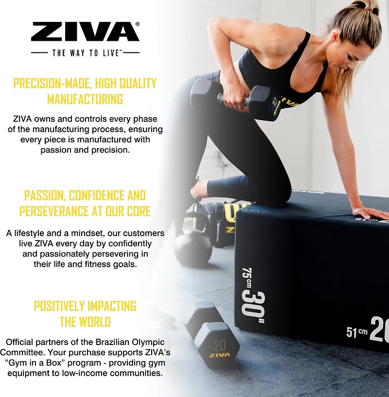 ZIVA Hexagon Weight Lifting Dumbbell – Pair