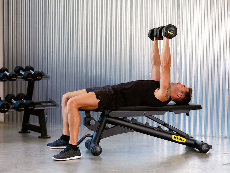 ZIVA Hexagon Weight Lifting Dumbbell – Pair