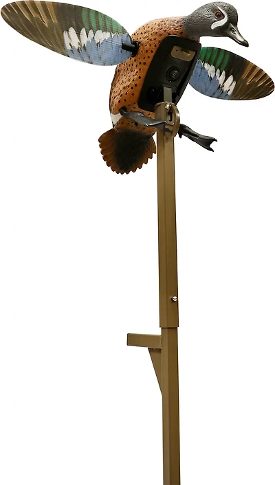 MOJO Outdoors Elite Series Blue Wing Teal Motorized Decoy