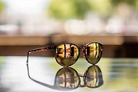 Knockaround Mai Tais Sunglasses