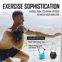 ZIVA Weight Lifting Kettlebell – Single