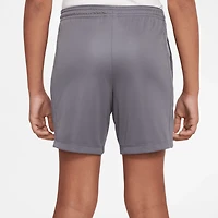 Nike Boys' Dri-FIT Trophy Shorts 7