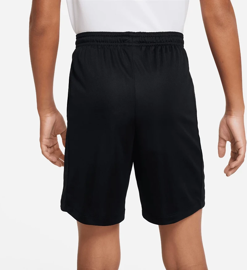 Nike Boys' Dri-FIT Trophy Shorts 7