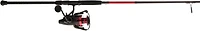 PENN Fierce IV Live Liner Spinning Rod and Reel Combo