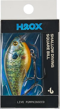 H2OX Premium Shallow Square Bill