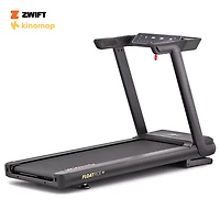 Reebok FR30z Floatride 120V Treadmill