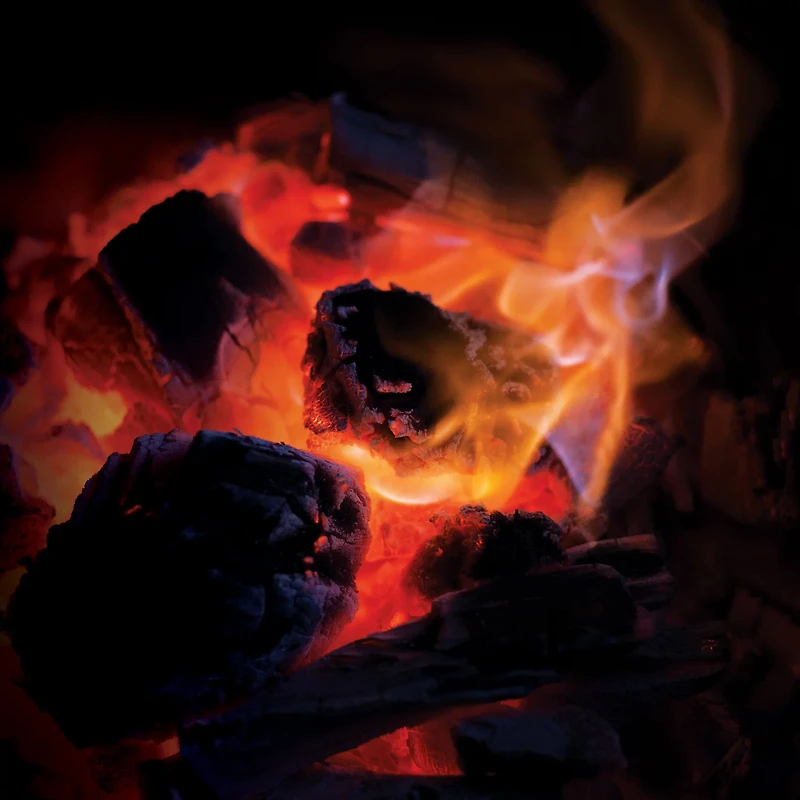 Kamado Joe Big Block 20 lb Lump Charcoal Bag