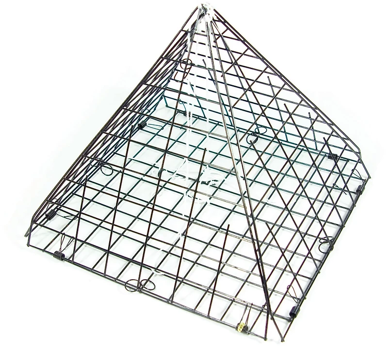 Eagle Claw Star Crab Trap