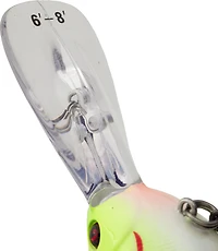 H2OX Premium Deep Diving Crankbait