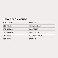 H2OX 5/8 oz Lipless Crankbait
