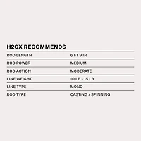 H2OX Mag Top Water Popper