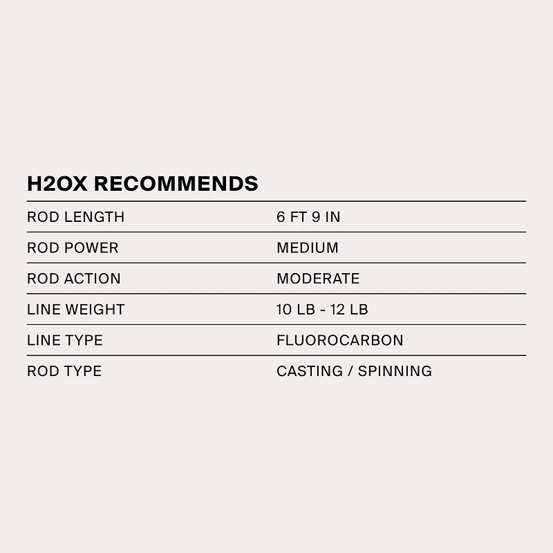 H2OX Premium Floating Jerk Shad Bait