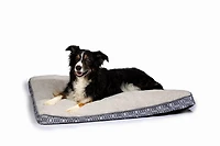 Carpenter Nancy Pet Bed