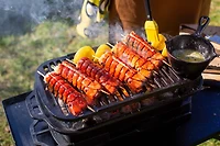 Lodge Sportsman's Pro Cast Iron Grill