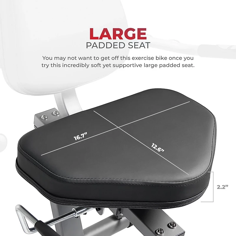 Sunny Health & Fitness Smart Performance Interactive Recumbent Exercise Bike