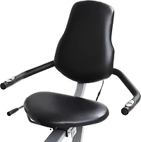 Sunny Health & Fitness Essential Series Magnetic Smart Recumbent Bike