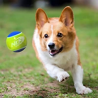 NERF TPR LED 2.5 in Dog Tennis Balls 2-Pack