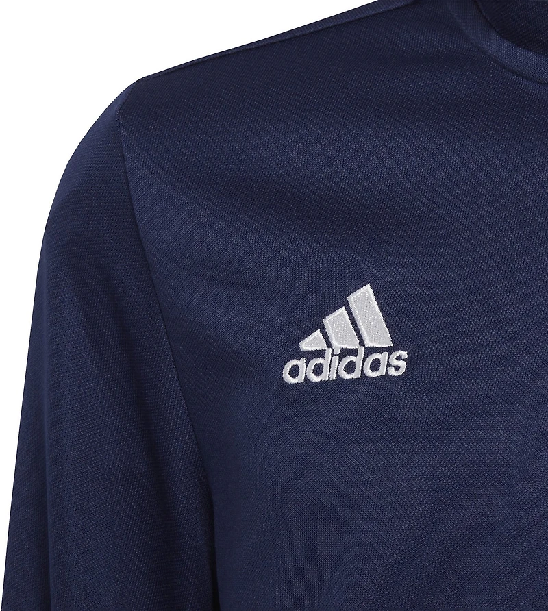 adidas Boys' Entrada 22 Training Top