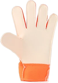 PUMA Ultra Grip 4RC Goalie Gloves