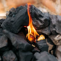 FOGO Charcoal FOGOstarters Firestarters 30-Pack