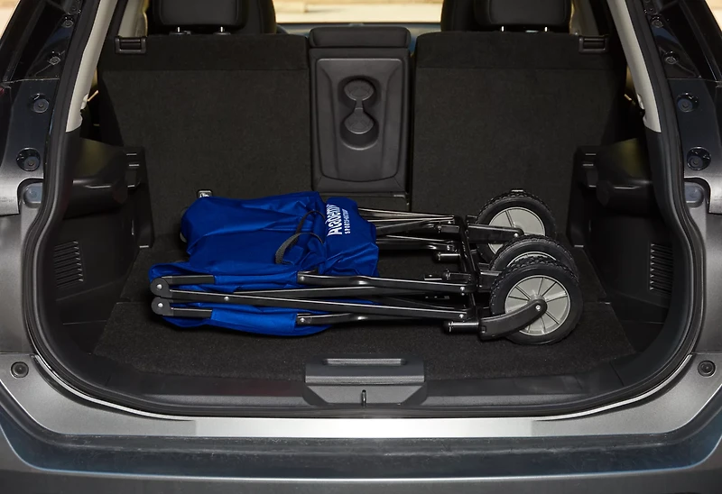 Academy Sports + Outdoors Folding Wagon with Removable Bed