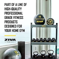 ZIVA Performance Wall Ball