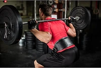 Harbinger 6" Padded Leather Weight Lifting Belt