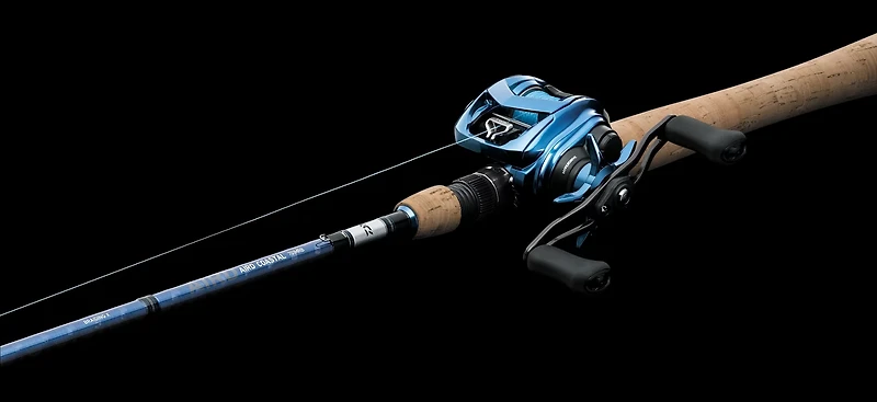 Daiwa Coastal Baitcast Reel