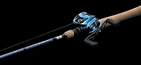 Daiwa Coastal Baitcast Reel