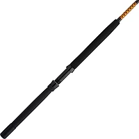 Ugly Stik Bigwater Stand Up Roller Conventional Casting Rod