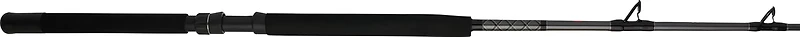 PENN Ally Boat Casting Rod