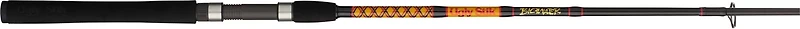 Ugly Stik Bigwater Spinning Rod