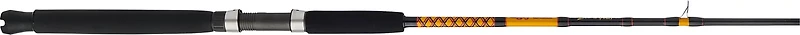 Ugly Stik Bigwater Conventional Casting Rod