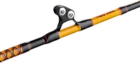 Ugly Stik Bigwater Stand Up Pacbay Roller Conventional Casting Rod