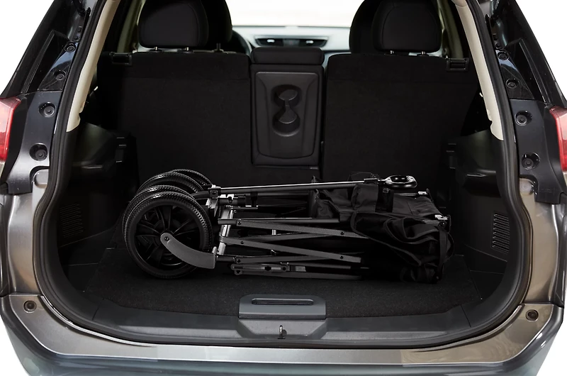 Academy Sports + Outdoors XL Folding Wagon with Tailgate and Strap