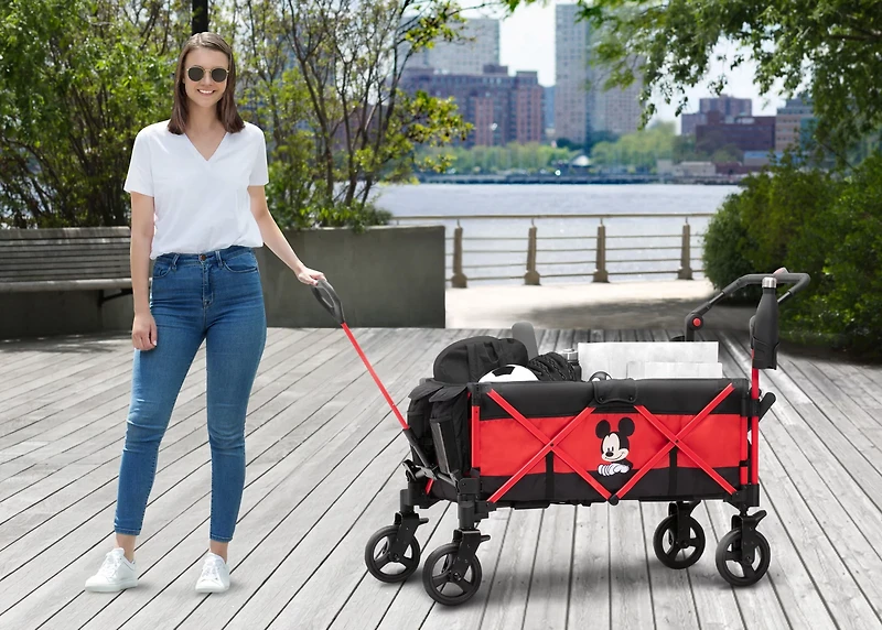 Delta Mickey Wagon