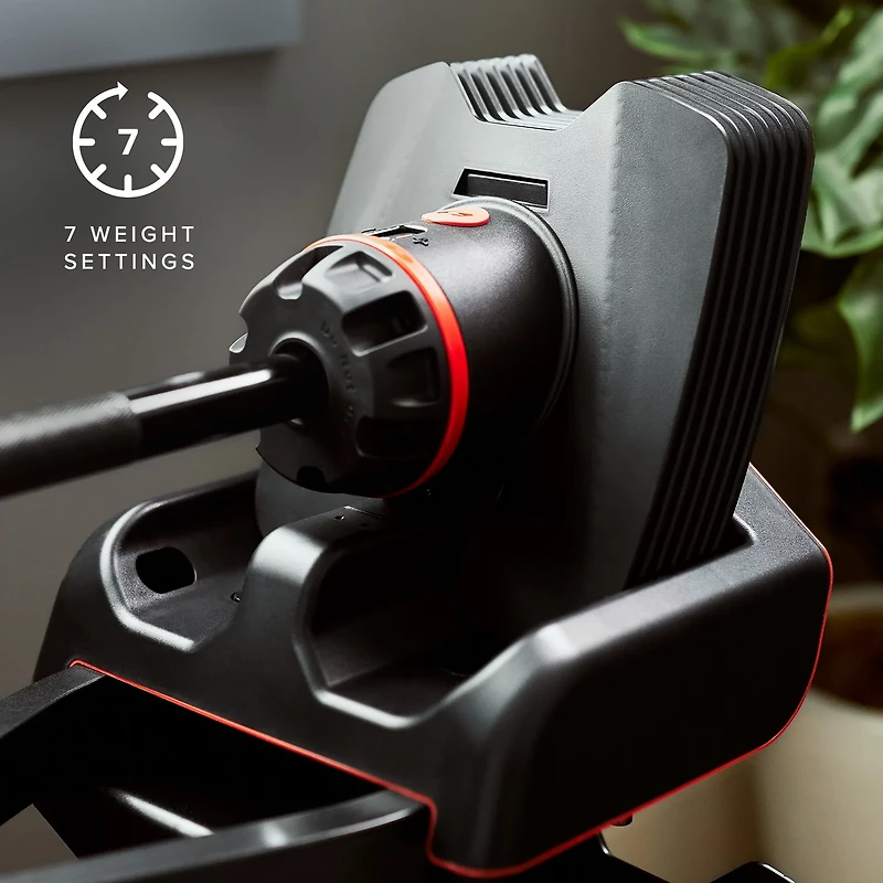 Bowflex SelectTech 2080 Barbell w/ Curl Bar