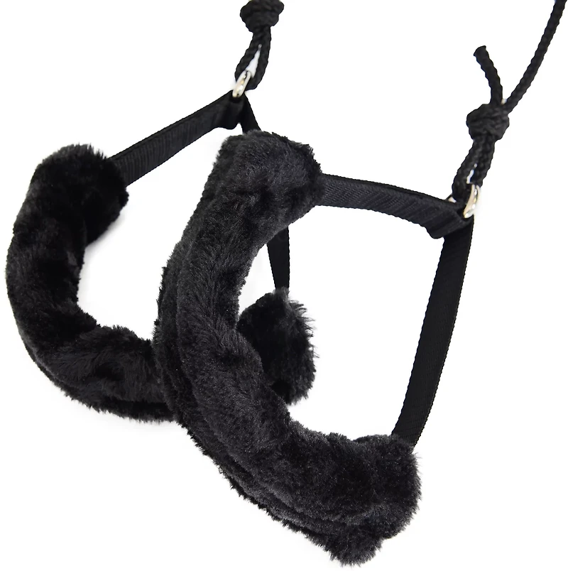 AeroPilates 651 Pilates Reformer